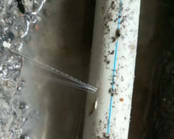 东营卫生间测漏水多少钱
