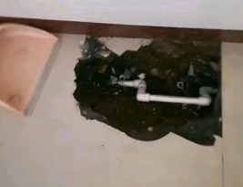 东营卫生间测漏水多少钱